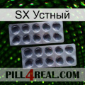 SX Устный 31